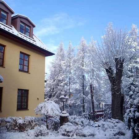 Villa Gorczanska Рабка Экстерьер фото