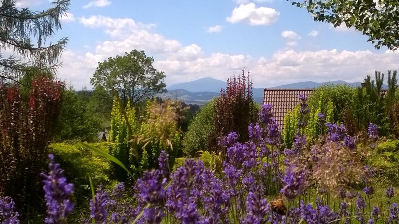 Villa Gorczanska Рабка Экстерьер фото